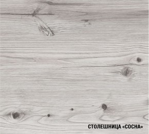 АСАЯ Кухонный гарнитур Экстра (3000 мм) в Камышлове - kamyshlov.mebel-74.com | фото