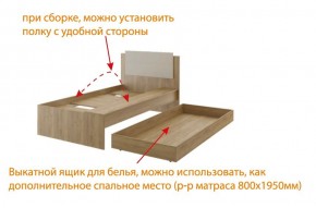 Дуглас (подростковая) М14 Кровать в Камышлове - kamyshlov.mebel-74.com | фото