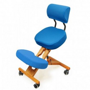 Коленный стул со спинкой Smartstool KW02В + Чехлы в Камышлове - kamyshlov.mebel-74.com | фото