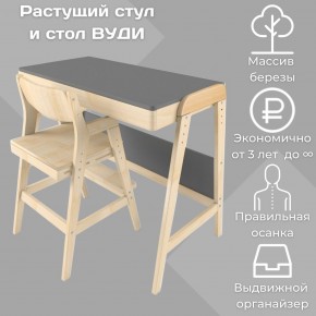 Комплект растущий стол и стул 38 попугаев «Вуди» (Серый, Без покрытия) в Камышлове - kamyshlov.mebel-74.com | фото