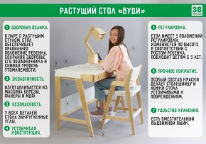 Комплект растущий стол и стул 38 попугаев «Вуди» (Серый, Без покрытия) в Камышлове - kamyshlov.mebel-74.com | фото