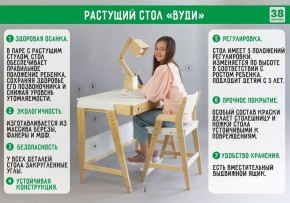 Комплект растущий стол и стул с чехлом 38 попугаев «Вуди» (Белый, Белый, Салют) в Камышлове - kamyshlov.mebel-74.com | фото
