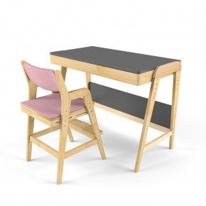 Комплект растущий стол и стул с чехлом 38 попугаев «Вуди» (Серый, Береза, Розовый) в Камышлове - kamyshlov.mebel-74.com | фото