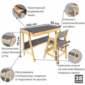 Комплект растущий стол и стул с чехлом 38 попугаев «Вуди» (Серый, Береза, Серый) в Камышлове - kamyshlov.mebel-74.com | фото