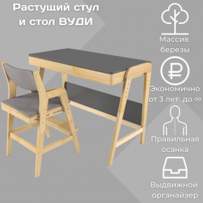 Комплект растущий стол и стул с чехлом 38 попугаев «Вуди» (Серый, Без покрытия, Серый) в Камышлове - kamyshlov.mebel-74.com | фото