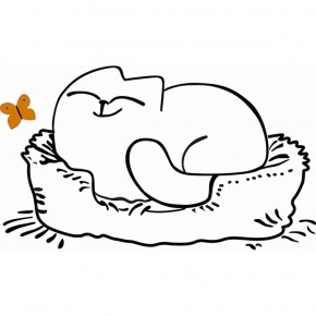 Кровать двухуровневая Кот № 900.1 ЛЕВАЯ (туя светлая/белый) в Камышлове - kamyshlov.mebel-74.com | фото