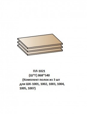 ПЛ-1021 (Комплект полок из 3 шт для ШК-1001, 1002, 1003, 1004, 1005, 1007) в Камышлове - kamyshlov.mebel-74.com | фото