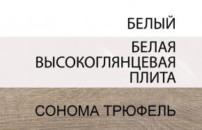 Шкаф 2D/TYP 20A, LINATE ,цвет белый/сонома трюфель в Камышлове - kamyshlov.mebel-74.com | фото