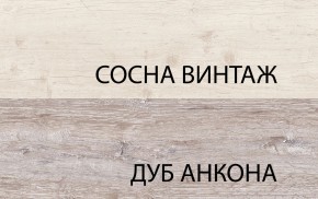 Шкаф 2D1S, MONAKO, цвет Сосна винтаж/дуб анкона в Камышлове - kamyshlov.mebel-74.com | фото