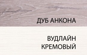 Шкаф 2DG, OLIVIA, цвет вудлайн крем/дуб анкона в Камышлове - kamyshlov.mebel-74.com | фото