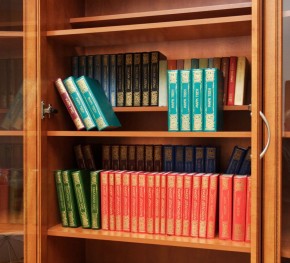 Шкаф для книг арт. 200 в Камышлове - kamyshlov.mebel-74.com | фото