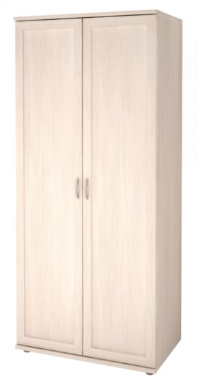 Шкаф для одежды 2-х дверный Ника-Люкс 21 в Камышлове - kamyshlov.mebel-74.com | фото