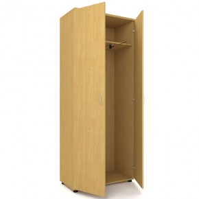 Шкаф для одежды двухстворчатый "Проспект" (Р.Ш-8) в Камышлове - kamyshlov.mebel-74.com | фото