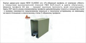 Шкаф-купе 1700 серии NEW CLASSIC K2+K2+B2+PL2(2 ящика+1 штанга+1 полка) профиль «Капучино» в Камышлове - kamyshlov.mebel-74.com | фото