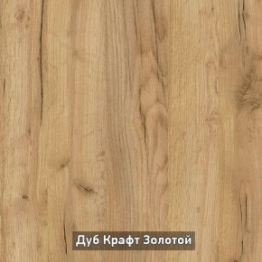 Шкаф купе без зеркала "Ольга-Лофт 10.1" в Камышлове - kamyshlov.mebel-74.com | фото