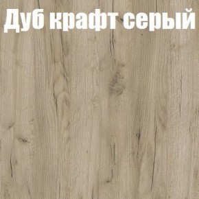 Шкаф-купе Эдем 1.5 (Дуб Крафт серый/Бетонный камень) двери ЛДСП в Камышлове - kamyshlov.mebel-74.com | фото