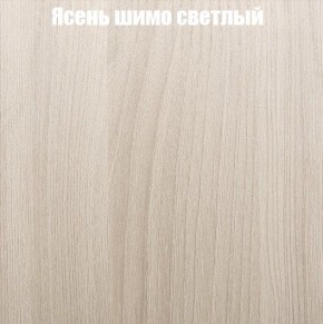 Шкаф-купе «ТАНДЕМ» 2-х дверный в алюминиевом профиле (Дверь К+К) 1200/h2200 в Камышлове - kamyshlov.mebel-74.com | фото
