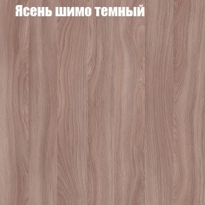Шкаф-купе «ТАНДЕМ» 2-х дверный в алюминиевом профиле (Дверь ЛДСП+ЛДСП) 1800/h2200 в Камышлове - kamyshlov.mebel-74.com | фото