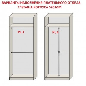 Шкаф распашной серия «ЗЕВС» (PL3/С1/PL2) в Камышлове - kamyshlov.mebel-74.com | фото
