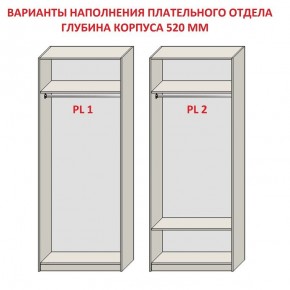Шкаф распашной серия «ЗЕВС» (PL3/С1/PL2) в Камышлове - kamyshlov.mebel-74.com | фото