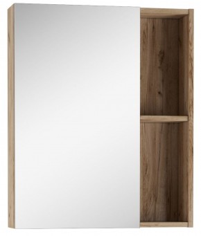Шкаф-зеркало Craft 60 левый/правый Домино (DCr2203HZ) в Камышлове - kamyshlov.mebel-74.com | фото