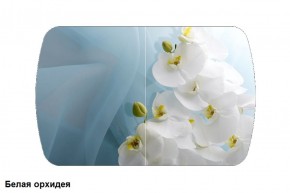 Стол Бостон 900*600 (опоры Брифинг) Стекло/фотопечать Белая Орхидея в Камышлове - kamyshlov.mebel-74.com | фото