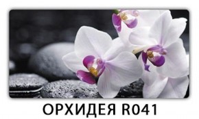Стол Бриз с фотопечатью Орхидея R041 в Камышлове - kamyshlov.mebel-74.com | фото
