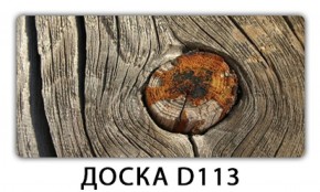 Стол раздвижной Трилогия с фотопечатью Доска D112 в Камышлове - kamyshlov.mebel-74.com | фото