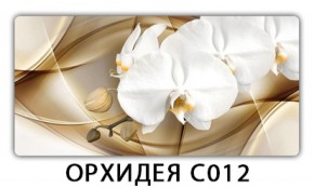 Стол раздвижной Трилогия с фотопечатью Кофе R012 в Камышлове - kamyshlov.mebel-74.com | фото
