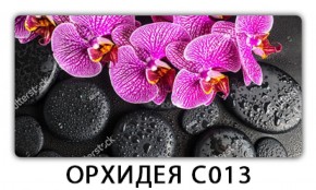 Стол раздвижной Трилогия с фотопечатью Орхидея R041 в Камышлове - kamyshlov.mebel-74.com | фото