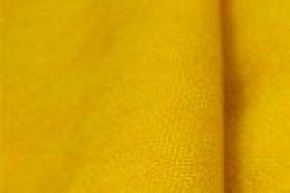 Стул растущий «Робин Wood» с чехлом 38 Попугаев (Без покрытия, Желтый) в Камышлове - kamyshlov.mebel-74.com | фото