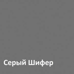 Юнона Шкаф торцевой 13.221 в Камышлове - kamyshlov.mebel-74.com | фото