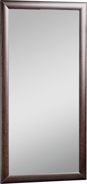 Зеркало МДФ профиль 1200х600 Венге Домино (DM9003Z) в Камышлове - kamyshlov.mebel-74.com | фото